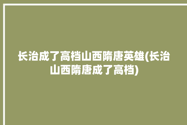 长治成了高档山西隋唐英雄(长治山西隋唐成了高档)