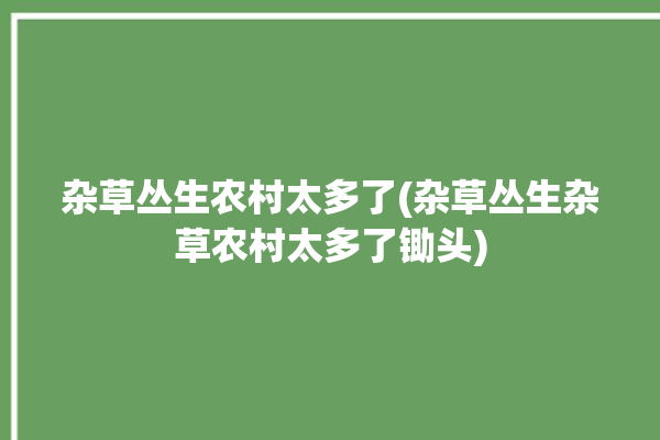 杂草丛生农村太多了(杂草丛生杂草农村太多了锄头)