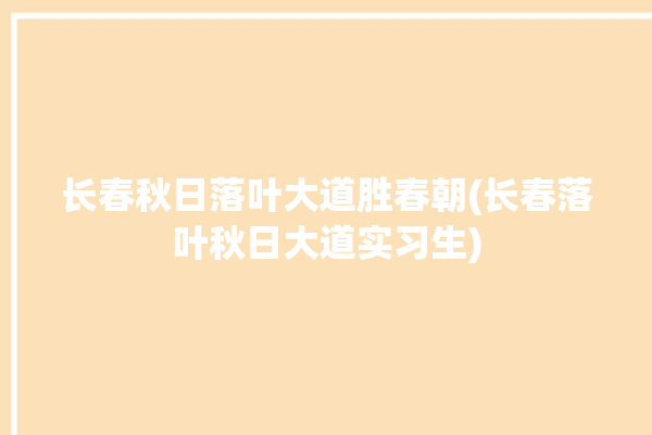 长春秋日落叶大道胜春朝(长春落叶秋日大道实习生)