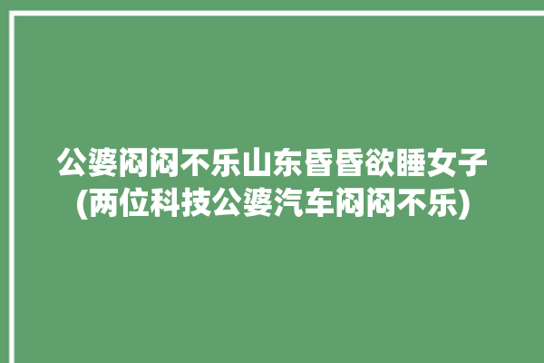 公婆闷闷不乐山东昏昏欲睡女子(两位科技公婆汽车闷闷不乐)