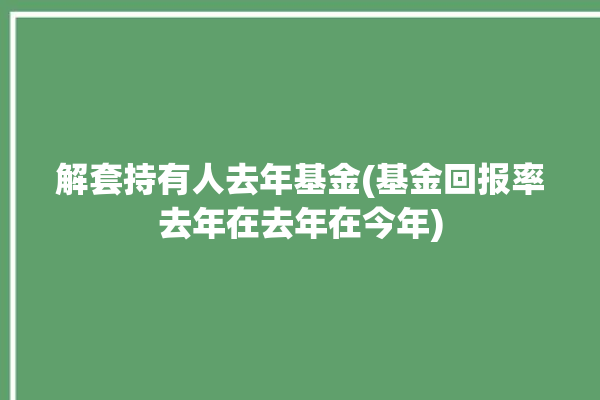 解套持有人去年基金(基金回报率去年在去年在今年)