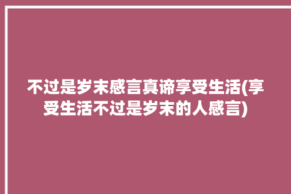 不过是岁末感言真谛享受生活(享受生活不过是岁末的人感言)