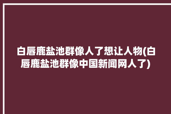 白唇鹿盐池群像人了想让人物(白唇鹿盐池群像中国新闻网人了)