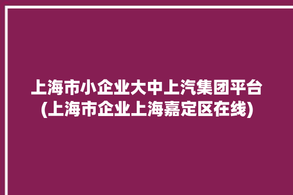 上海市小企业大中上汽集团平台(上海市企业上海嘉定区在线)