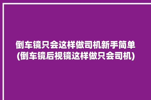 倒车镜只会这样做司机新手简单(倒车镜后视镜这样做只会司机)