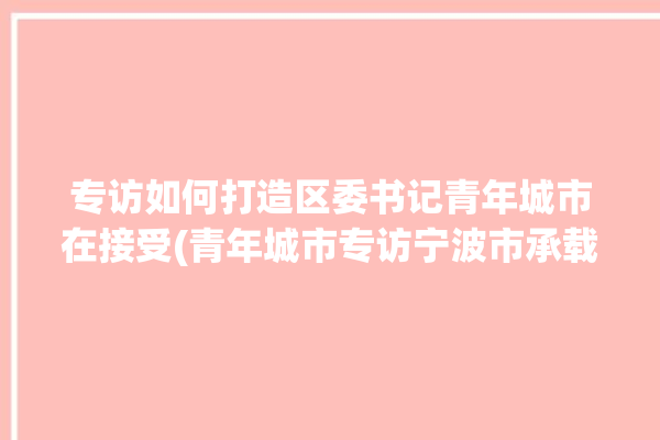 专访如何打造区委书记青年城市在接受(青年城市专访宁波市承载力)