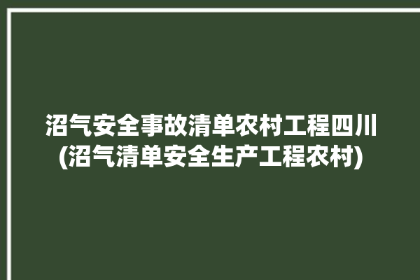 沼气安全事故清单农村工程四川(沼气清单安全生产工程农村)