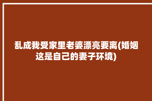 乱成我受家里老婆漂亮要离(婚姻这是自己的妻子环境)