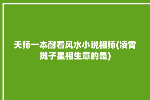 天师一本耐看风水小说相师(凌霄摊子星相生意的是)