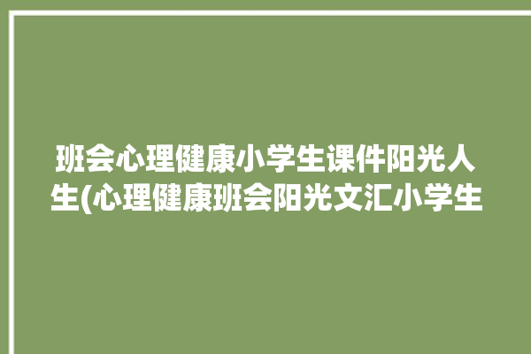 班会心理健康小学生课件阳光人生(心理健康班会阳光文汇小学生)