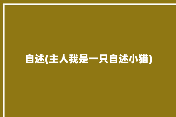 自述(主人我是一只自述小猫)