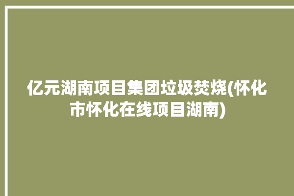 亿元湖南项目集团垃圾焚烧(怀化市怀化在线项目湖南)