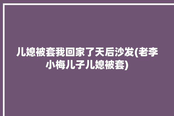 儿媳被套我回家了天后沙发(老李小梅儿子儿媳被套)