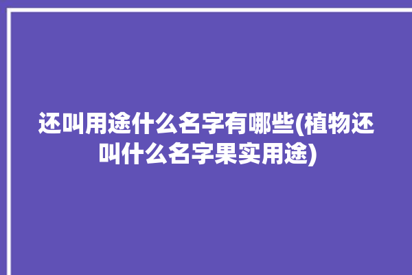 还叫用途什么名字有哪些(植物还叫什么名字果实用途)