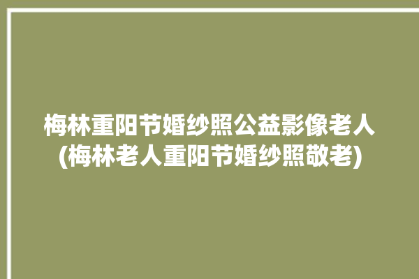 梅林重阳节婚纱照公益影像老人(梅林老人重阳节婚纱照敬老)