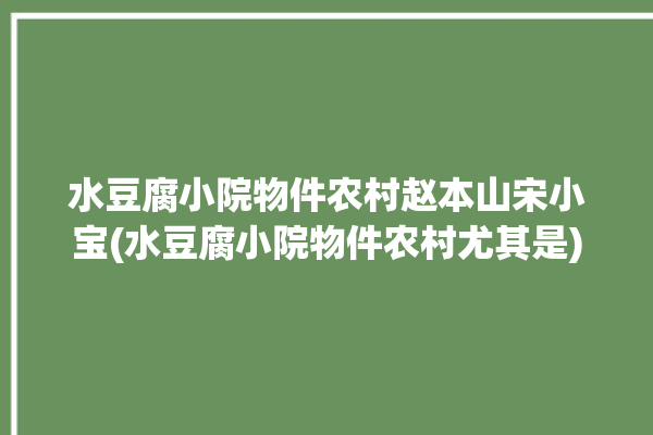 水豆腐小院物件农村赵本山宋小宝(水豆腐小院物件农村尤其是)