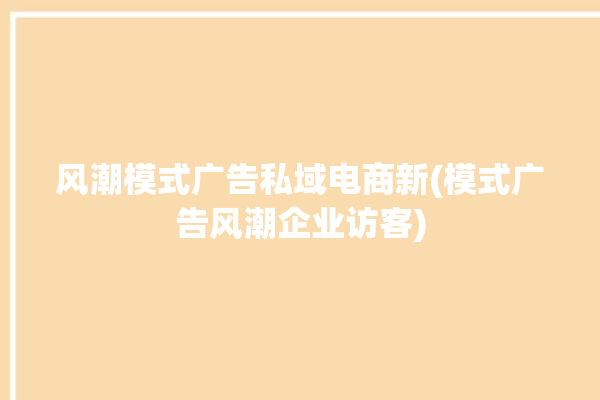 风潮模式广告私域电商新(模式广告风潮企业访客)