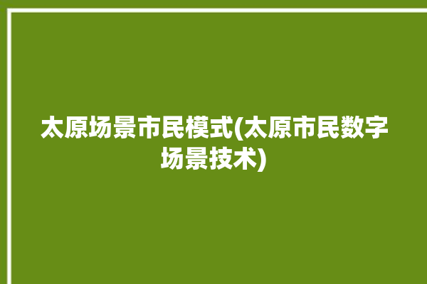 太原场景市民模式(太原市民数字场景技术)