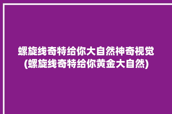 螺旋线奇特给你大自然神奇视觉(螺旋线奇特给你黄金大自然)