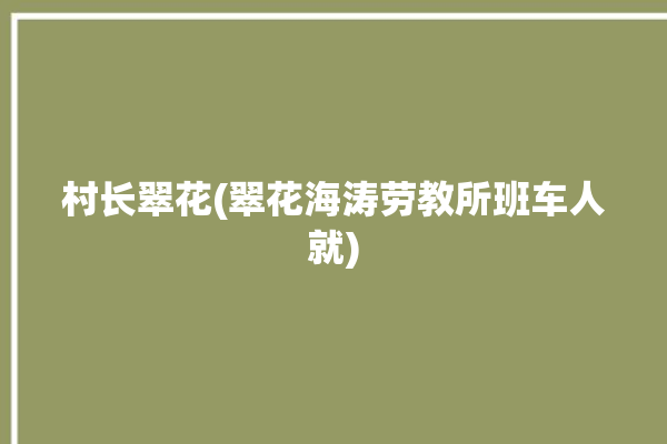 村长翠花(翠花海涛劳教所班车人就)