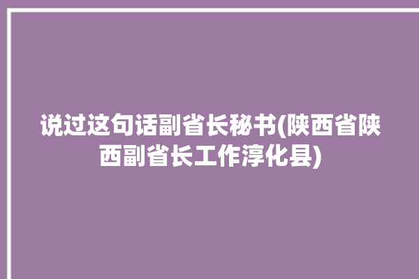 说过这句话副省长秘书(陕西省陕西副省长工作淳化县)