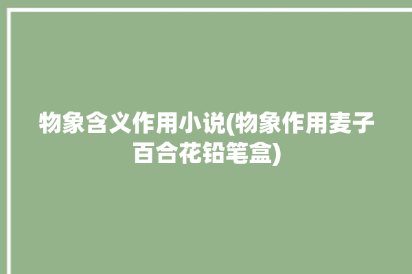 物象含义作用小说(物象作用麦子百合花铅笔盒)