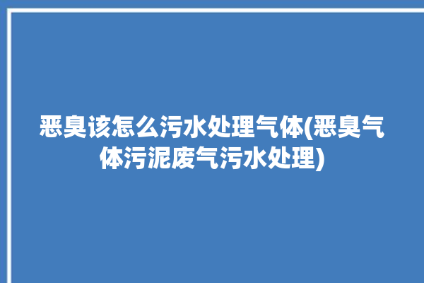 恶臭该怎么污水处理气体(恶臭气体污泥废气污水处理)