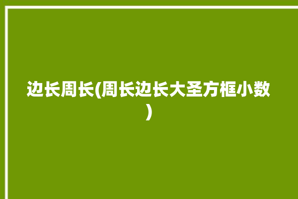 边长周长(周长边长大圣方框小数)