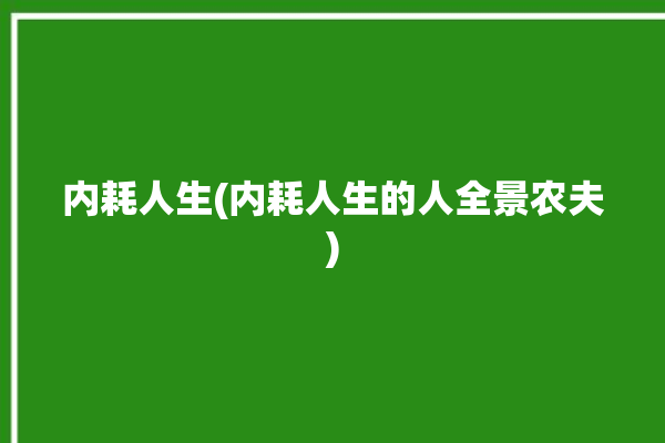 内耗人生(内耗人生的人全景农夫)