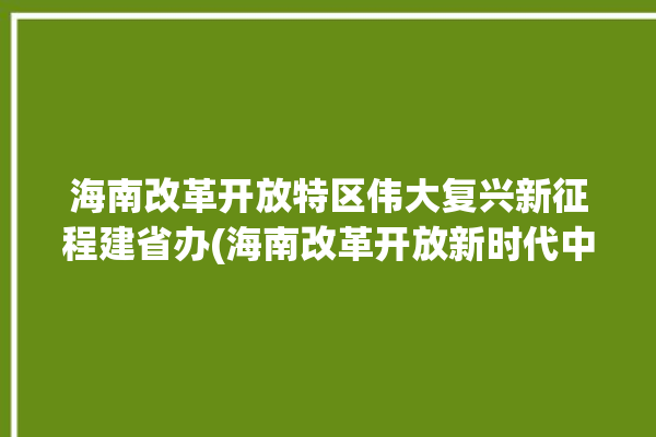 海南改革开放特区伟大复兴新征程建省办(海南改革开放新时代中国经济特区)