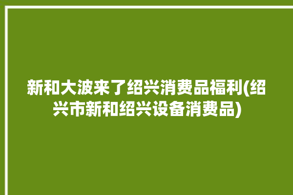 新和大波来了绍兴消费品福利(绍兴市新和绍兴设备消费品)