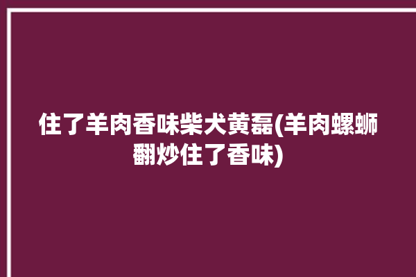 住了羊肉香味柴犬黄磊(羊肉螺蛳翻炒住了香味)