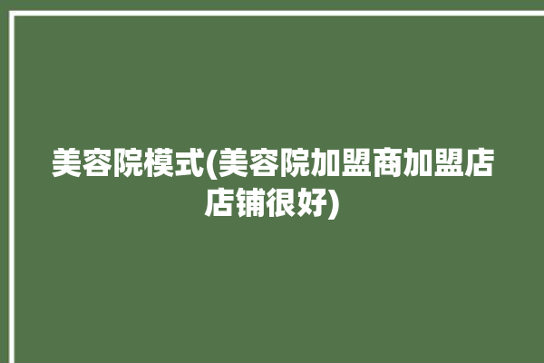 美容院模式(美容院加盟商加盟店店铺很好)