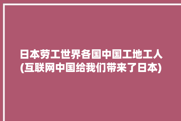 日本劳工世界各国中国工地工人(互联网中国给我们带来了日本)