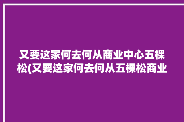 又要这家何去何从商业中心五棵松(又要这家何去何从五棵松商业中心)