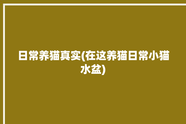 日常养猫真实(在这养猫日常小猫水盆)