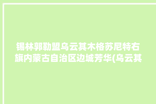 锡林郭勒盟乌云其木格苏尼特右旗内蒙古自治区边城芳华(乌云其木格学生孩子们班主任自己的)