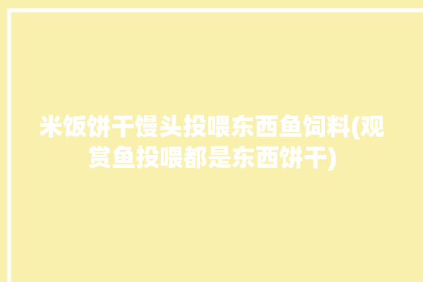 米饭饼干馒头投喂东西鱼饲料(观赏鱼投喂都是东西饼干)