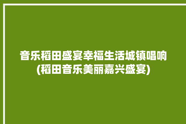 音乐稻田盛宴幸福生活城镇唱响(稻田音乐美丽嘉兴盛宴)