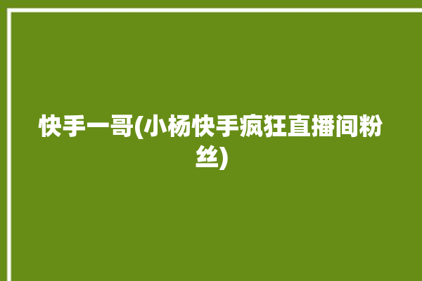 快手一哥(小杨快手疯狂直播间粉丝)