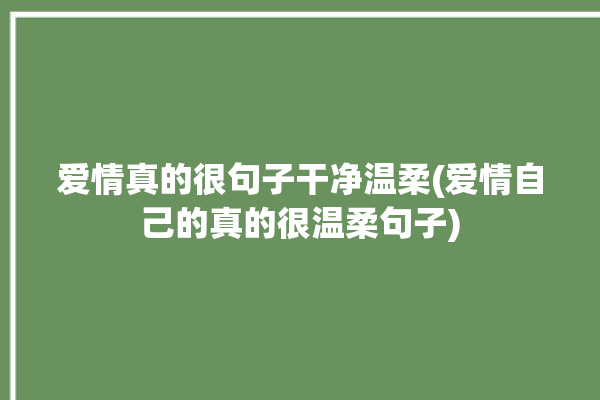 爱情真的很句子干净温柔(爱情自己的真的很温柔句子)