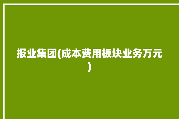 报业集团(成本费用板块业务万元)