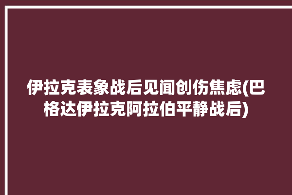 伊拉克表象战后见闻创伤焦虑(巴格达伊拉克阿拉伯平静战后)