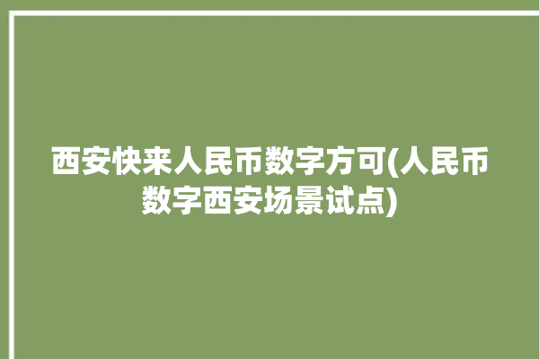 西安快来人民币数字方可(人民币数字西安场景试点)