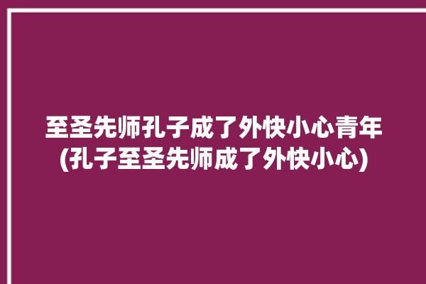 至圣先师孔子成了外快小心青年(孔子至圣先师成了外快小心)