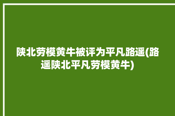 陕北劳模黄牛被评为平凡路遥(路遥陕北平凡劳模黄牛)