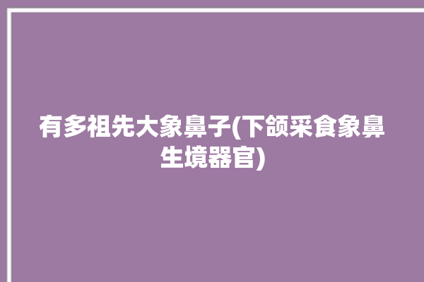 有多祖先大象鼻子(下颌采食象鼻生境器官)