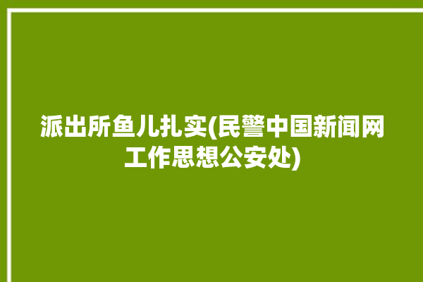 派出所鱼儿扎实(民警中国新闻网工作思想公安处)