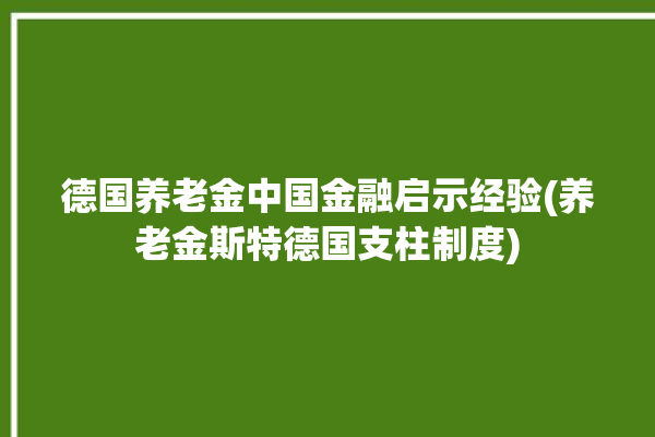 德国养老金中国金融启示经验(养老金斯特德国支柱制度)