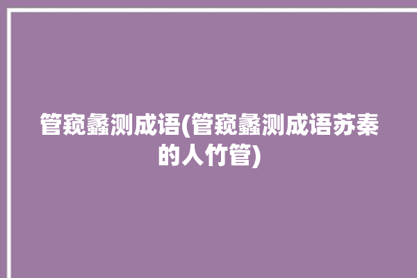 管窥蠡测成语(管窥蠡测成语苏秦的人竹管)